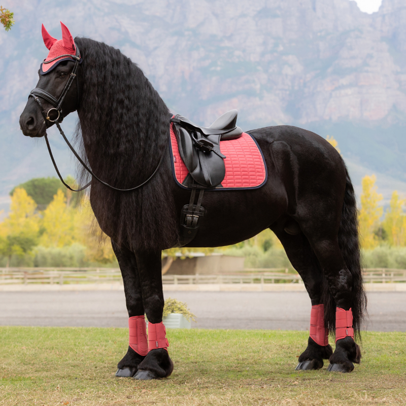 LeMieux Suede Dressage Square - Cranberry-2