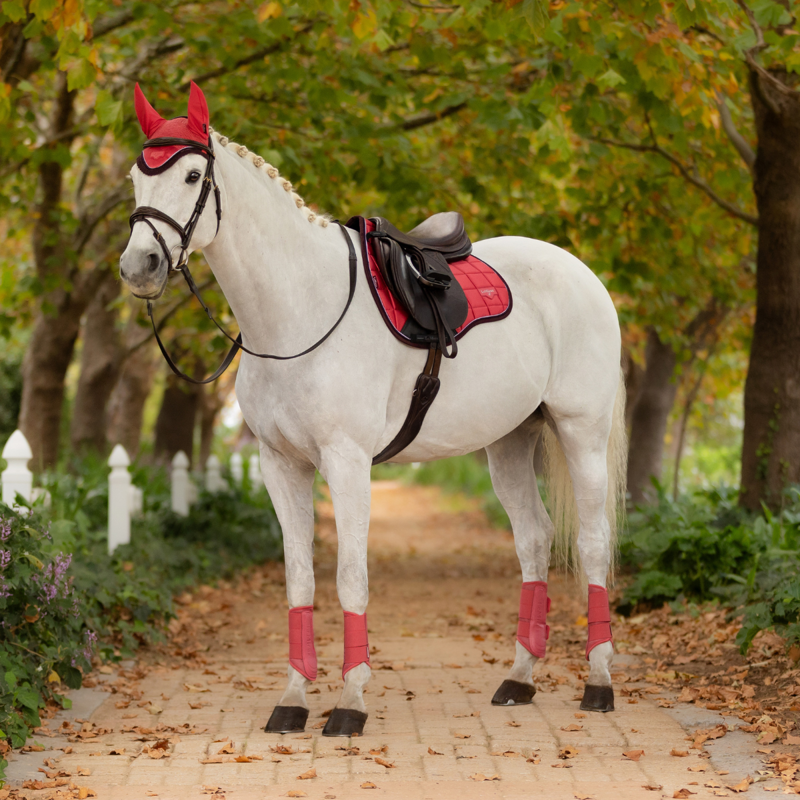 LeMieux Loire Classic GP Square - Cranberry-3