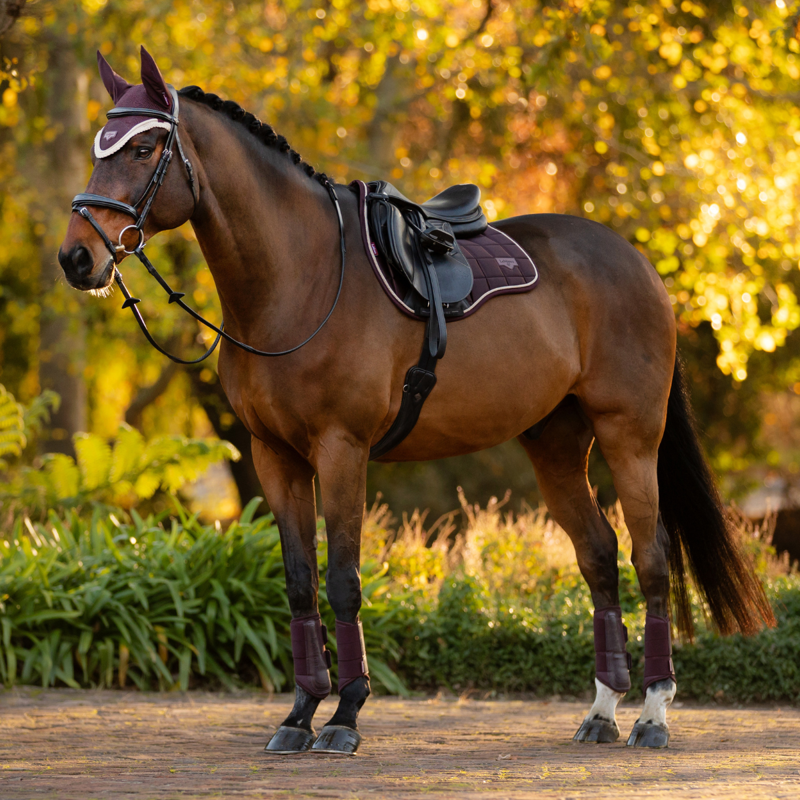 LeMieux Loire Classic GP Square - Damson-4