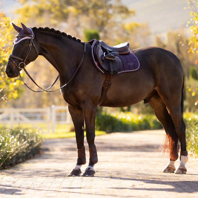 LeMieux Loire Classic Close Contact Square - Juniper-5