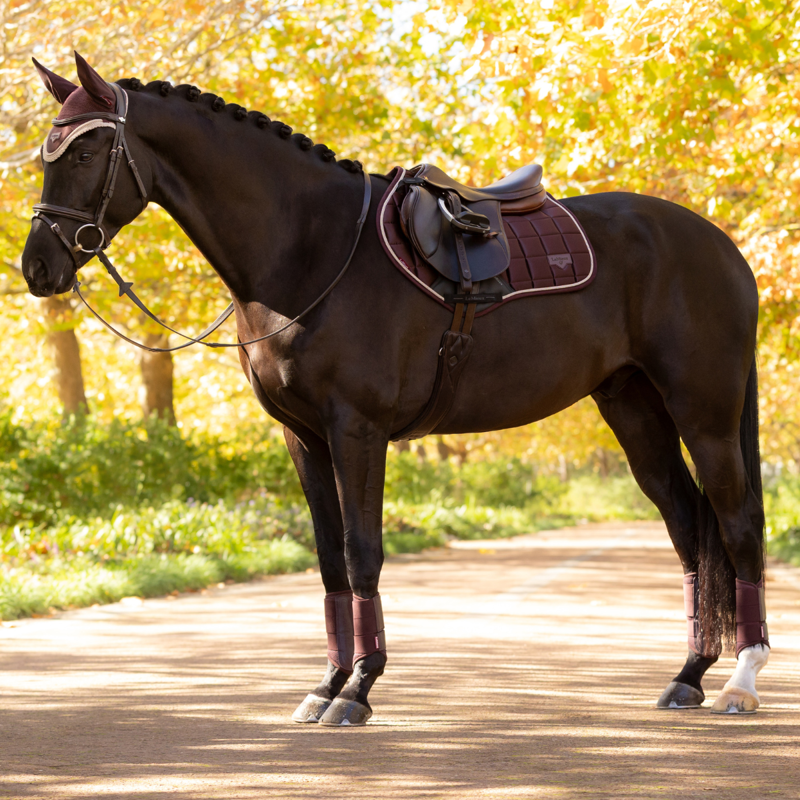 LeMieux Loire Classic Close Contact Square - Damson-2