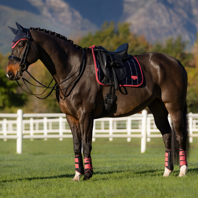LeMieux Loire Classic Dressage Square - Navy/Cranberry-5