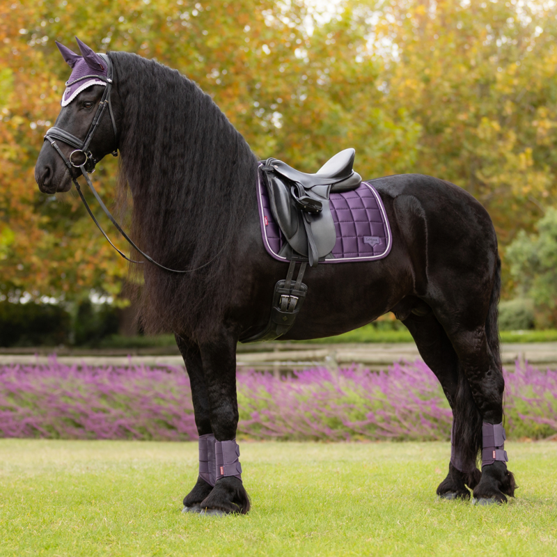 LeMieux Loire Classic Dressage Square - Juniper-4