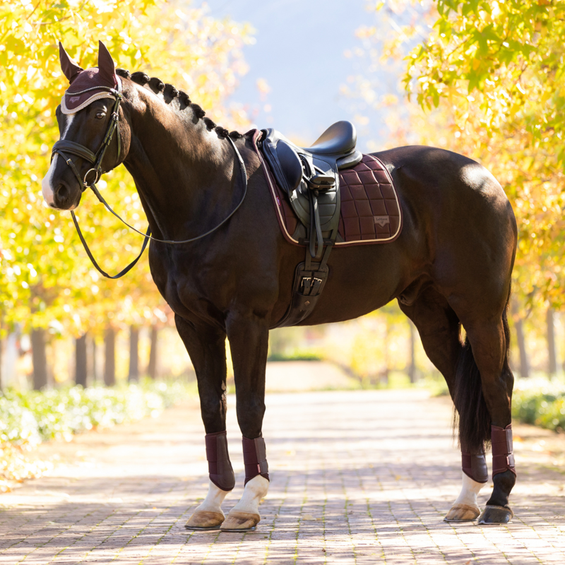 LeMieux Loire Classic Dressage Square - Damson-6