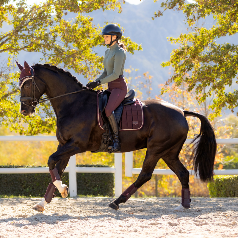 LeMieux Loire Classic Dressage Square - Damson-5