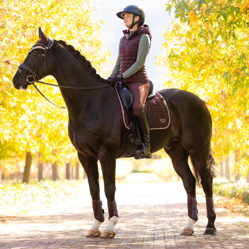 LeMieux Loire Classic Dressage Square - Damson-4