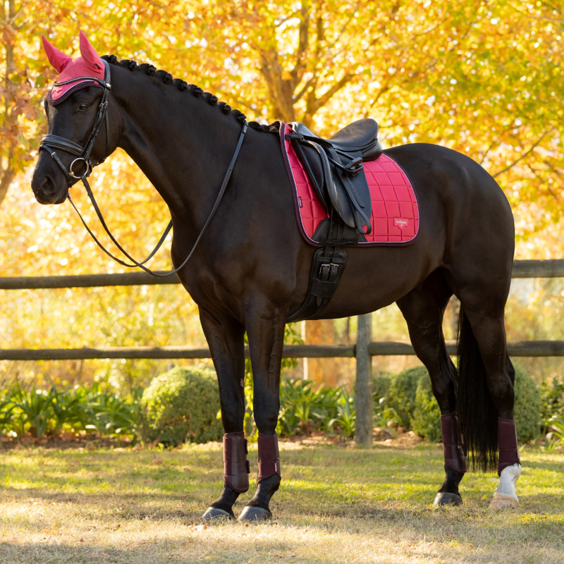 LeMieux Loire Classic Dressage Square - Cranberry-1