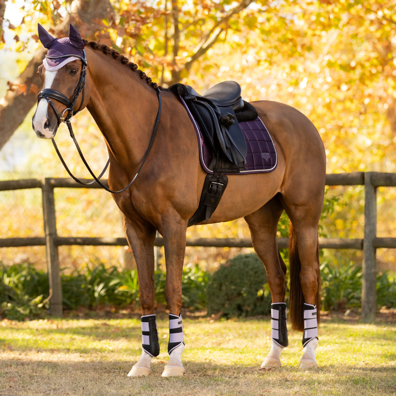 LeMieux Merino+ Loire Classic Dressage Square - Juniper-4