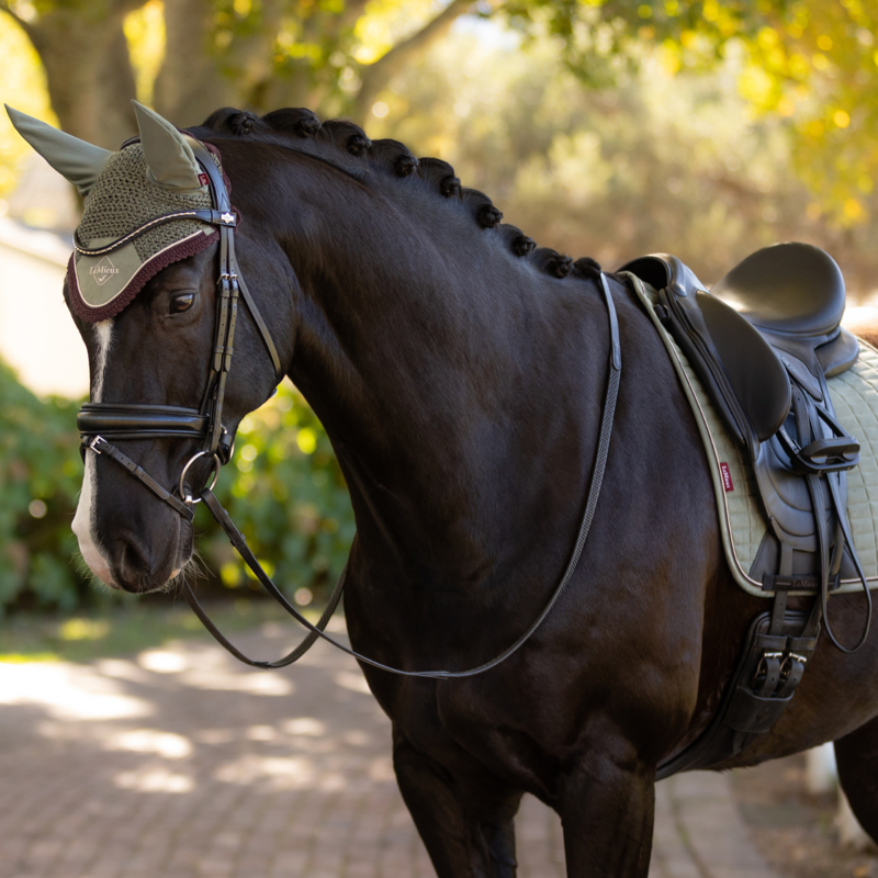 LeMieux Classic Fly Hood - Rosemary-1