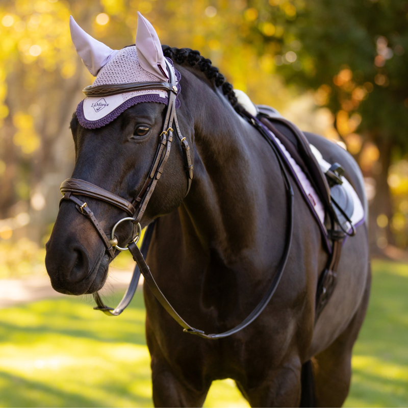 LeMieux Classic Fly Hood - Lilac-3
