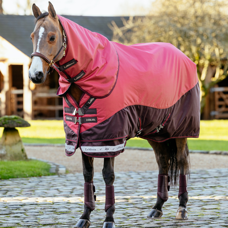 LeMieux Arika Ripstop 100g Turnout Rug - Cranberry