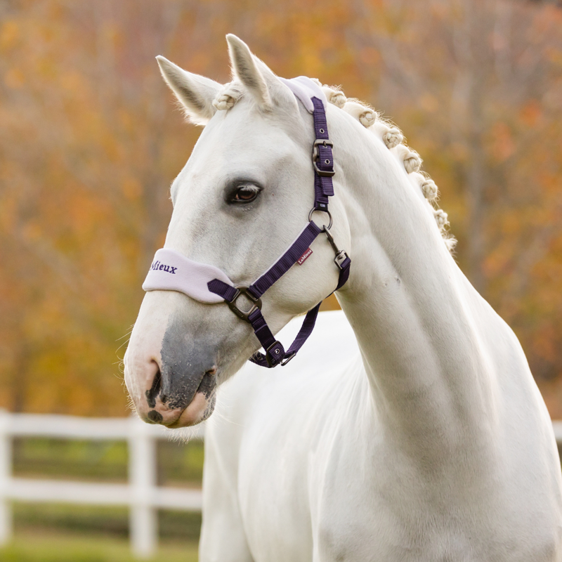 LeMieux Vogue Headcollar and Leadrope - Juniper-3