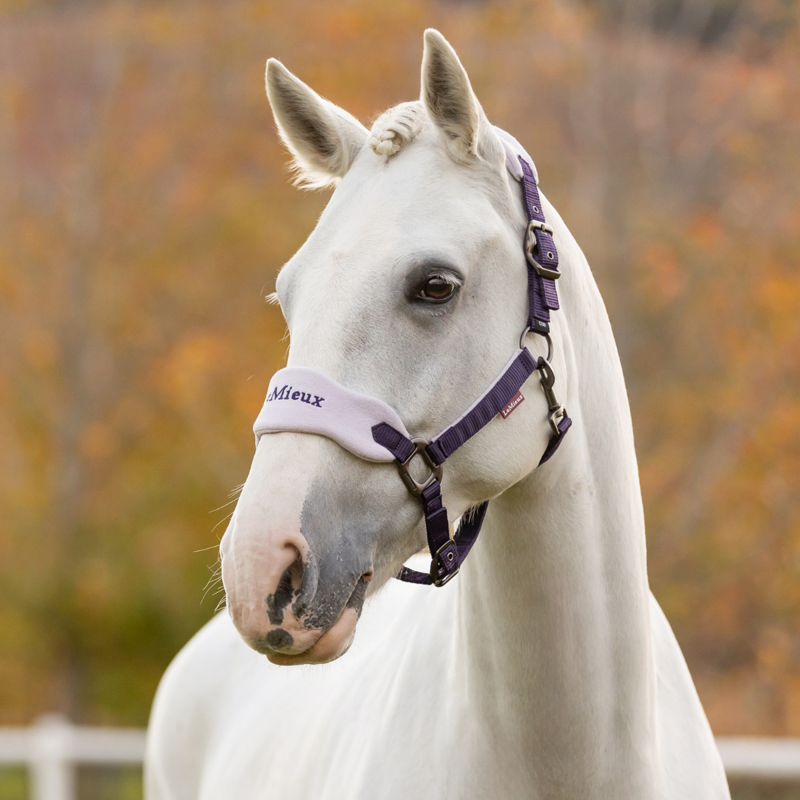 LeMieux Vogue Headcollar and Leadrope - Juniper-2