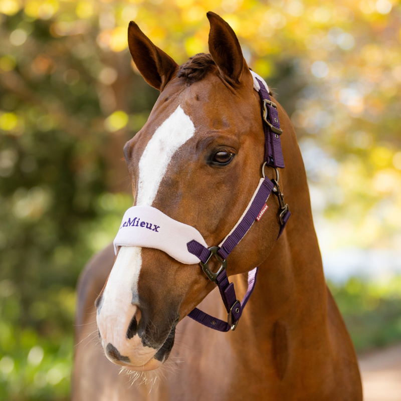 LeMieux Vogue Headcollar and Leadrope - Juniper-1