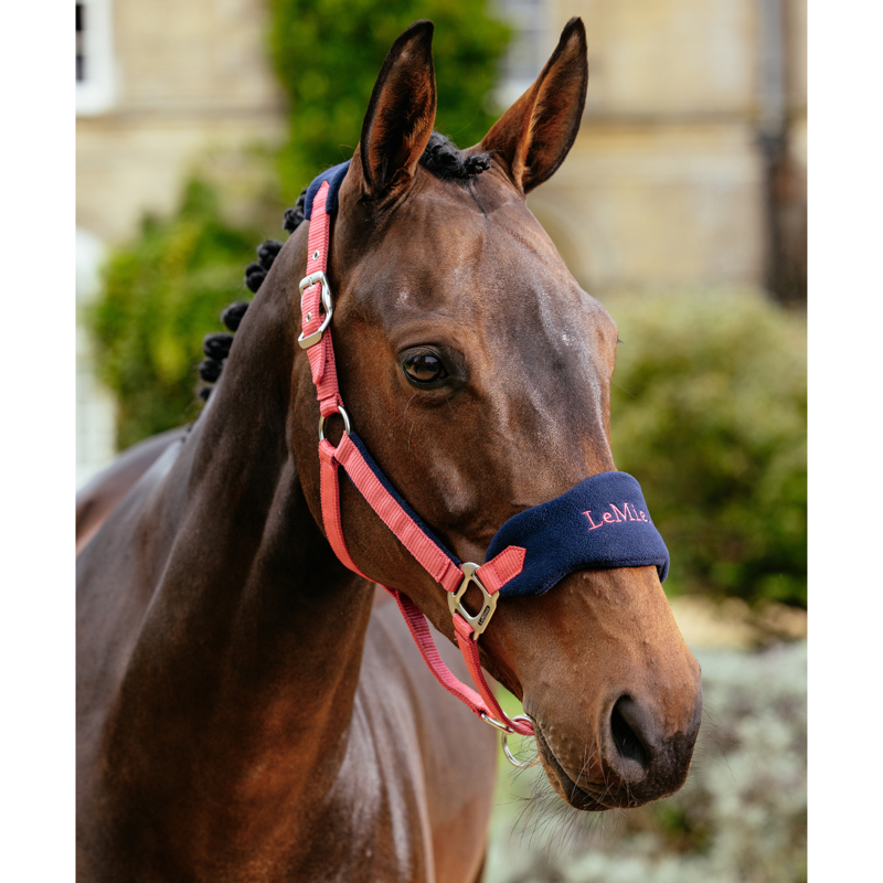 LeMieux Vogue Headcollar and Leadrope - Cranberry-1