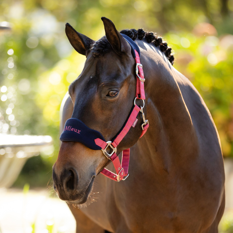 LeMieux Vogue Headcollar and Leadrope - Cranberry-4