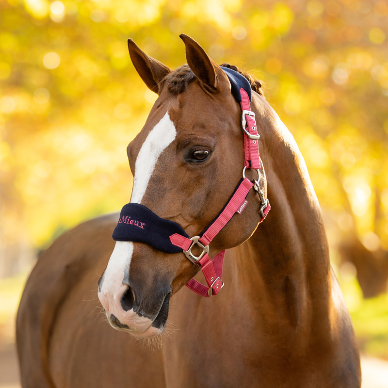 LeMieux Vogue Headcollar and Leadrope - Cranberry-2