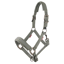 LeMieux Essence Headcollar - Rosemary
