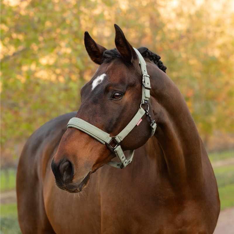 LeMieux Essence Headcollar - Rosemary-1