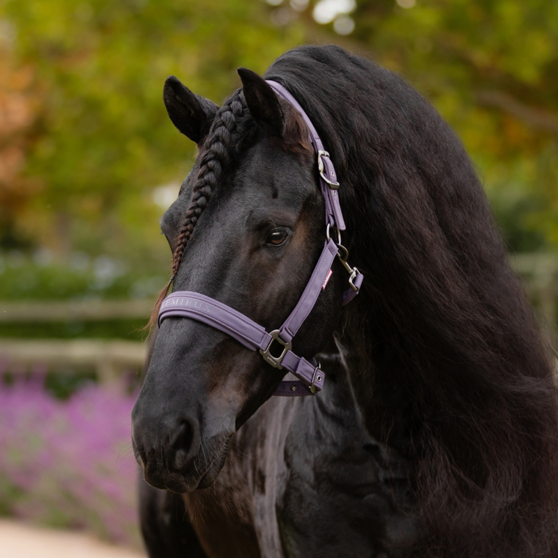 LeMieux Essence Headcollar - Juniper-3
