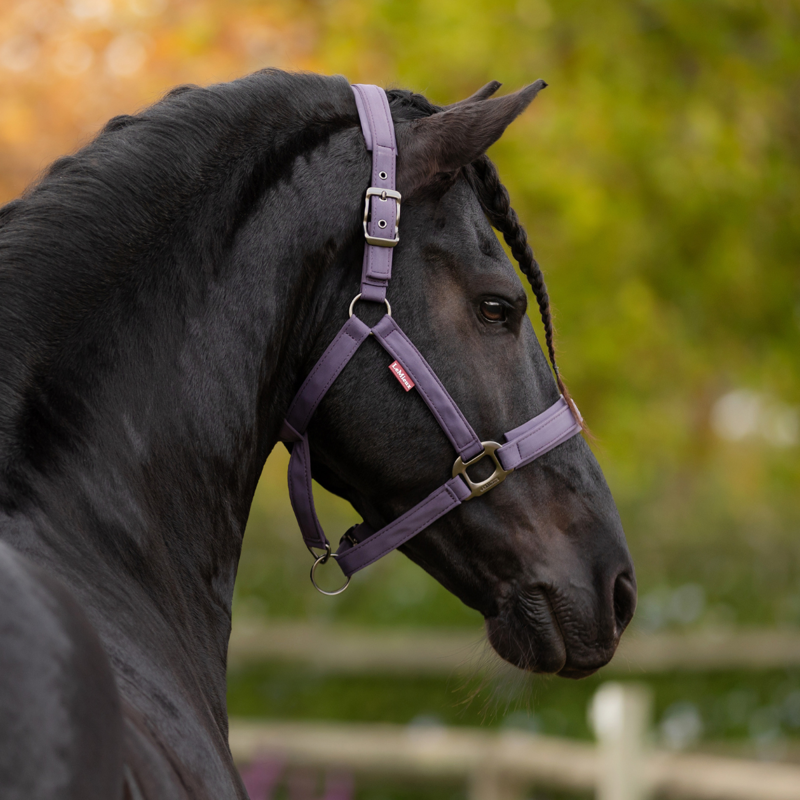 LeMieux Essence Headcollar - Juniper-2
