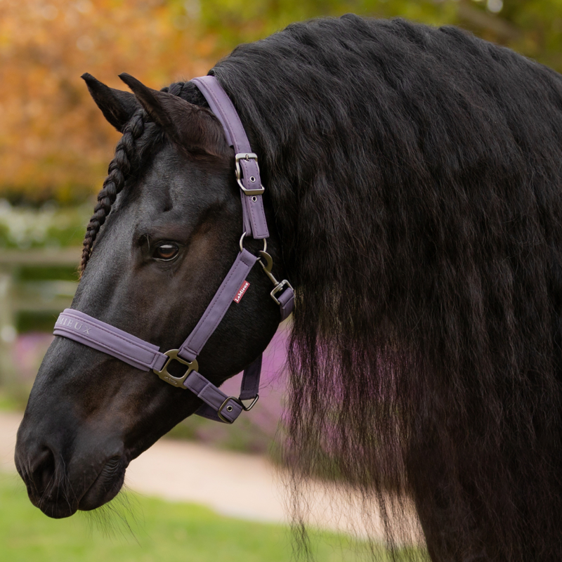 LeMieux Essence Headcollar - Juniper-1