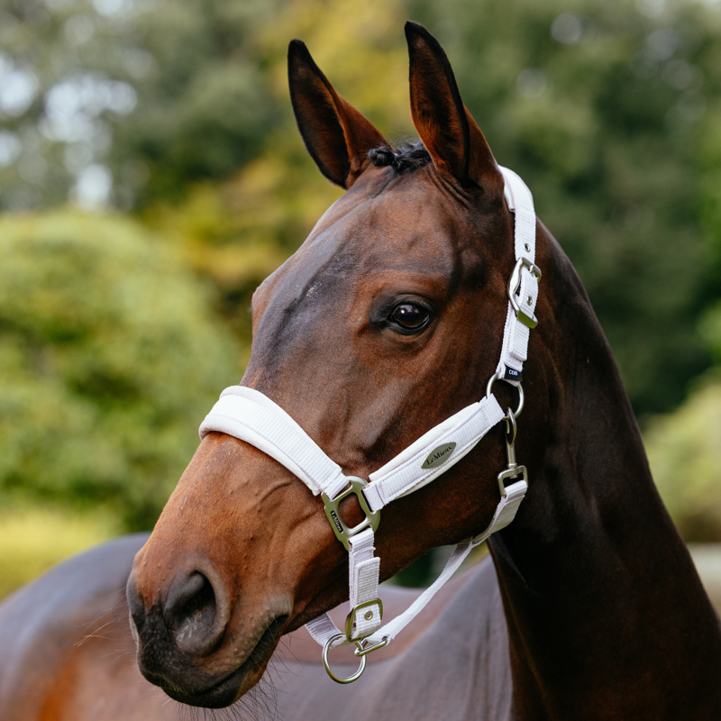 LeMieux Versailles Headcollar - Lilac-2
