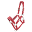 LeMieux Versailles Headcollar - Cranberry