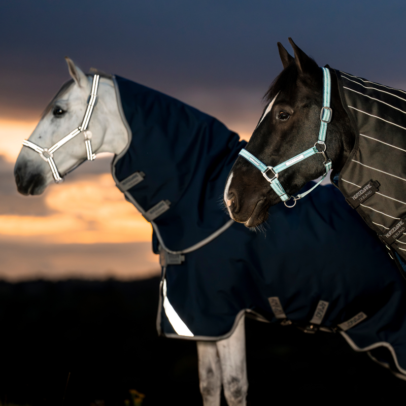 Horseware Amigo 1200D FieldSafe Plus 100g Turnout - Navy/Titanium Grey/Silver-6