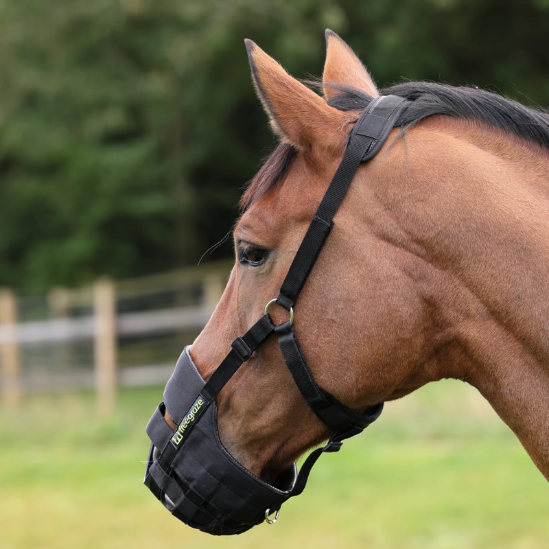 Shires Freegraze Airflow Grazing Muzzle - Black-2