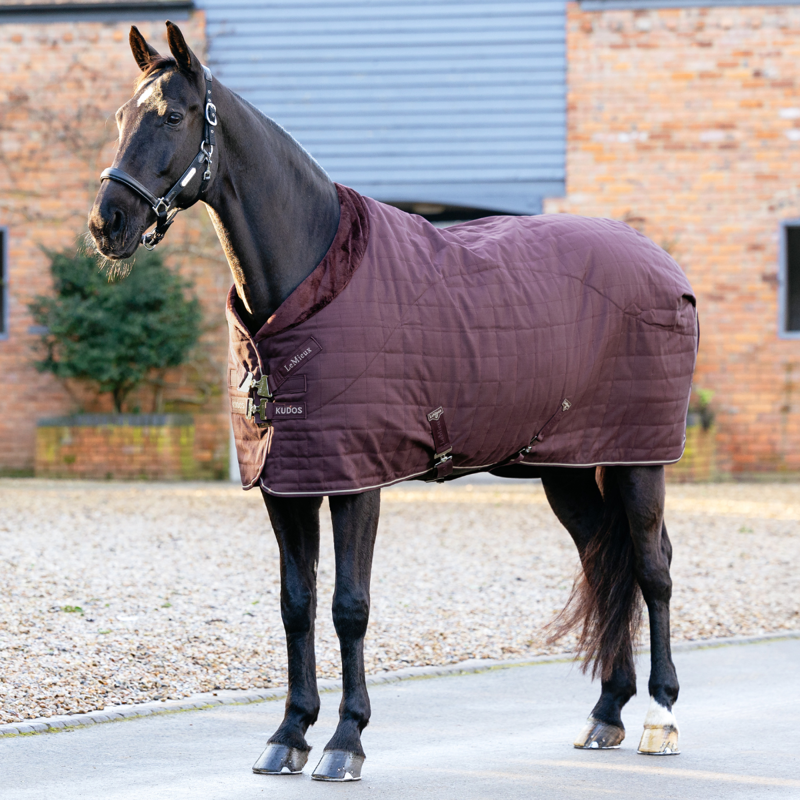 LeMieux Kudos Luxe Lined Stable Rug - Damson