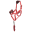 LeMieux Hobby Horse Vogue Headcollar and Leadrope - Cranberry
