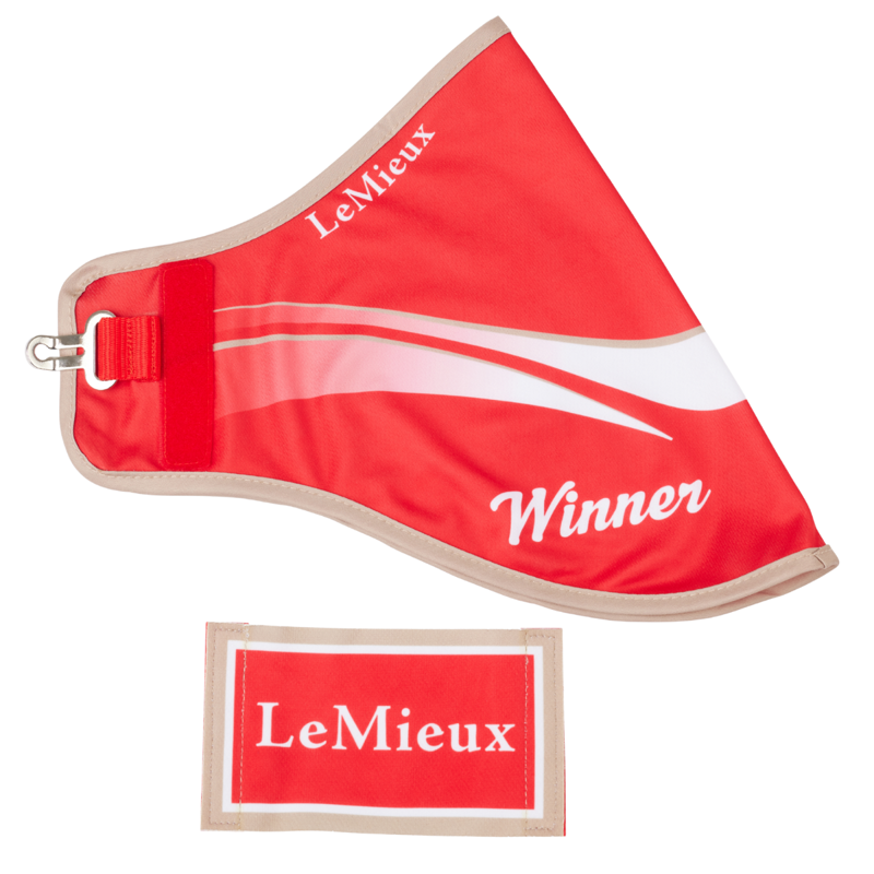 LeMieux Hobby Horse Winners Rug - Red