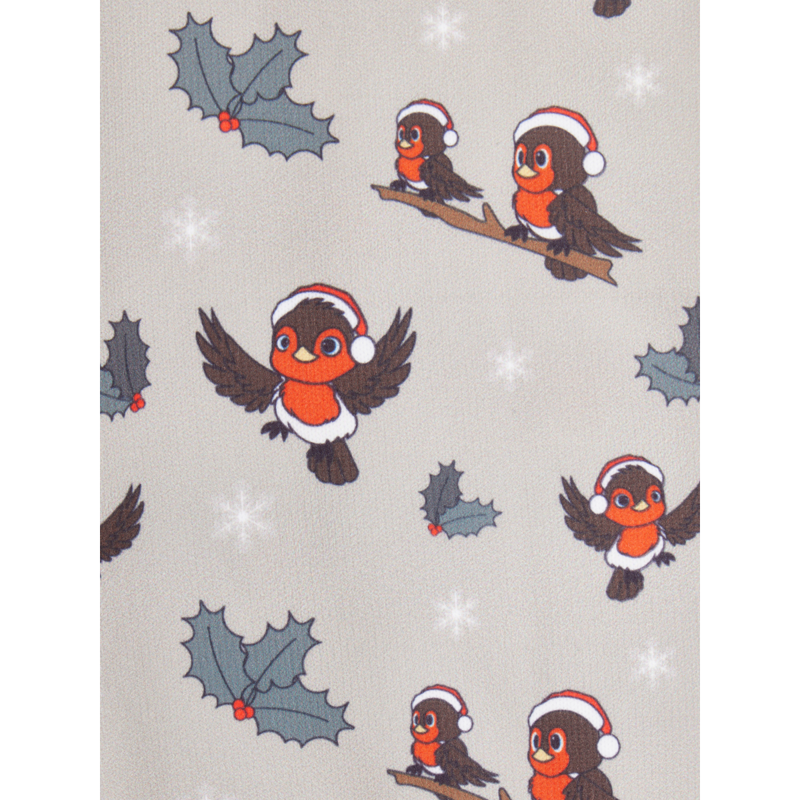 LeMieux Footsie Socks - Xmas Robins Almond-1