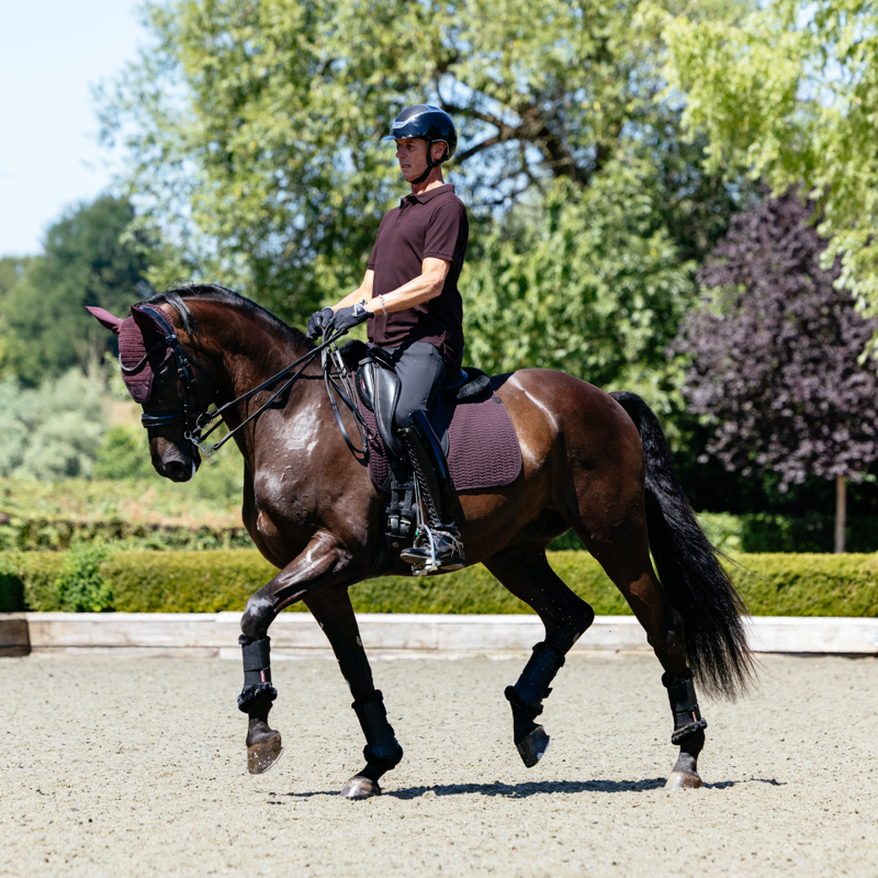 LeMieux Men's Classique Polo Shirt - Damson-5