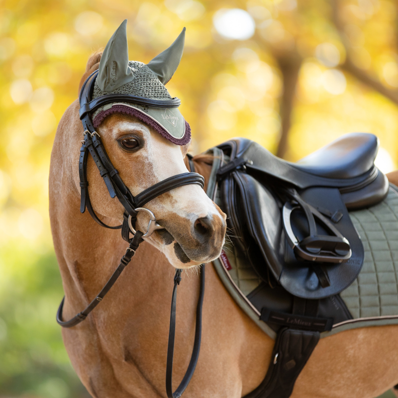 LeMieux Mini Classic Fly Hood - Rosemary-1
