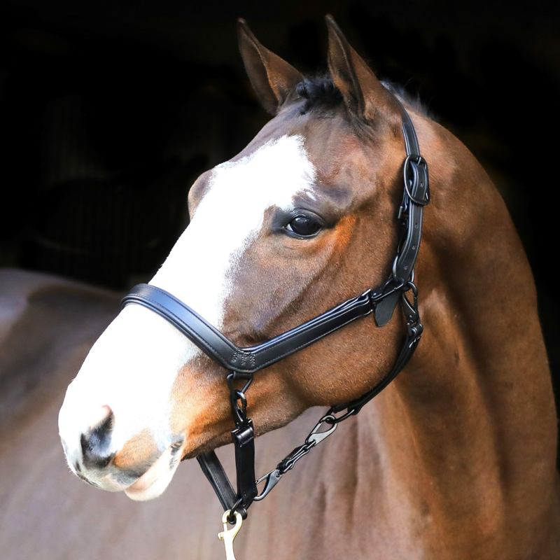 Liveryman Clipping Headcollar - Black