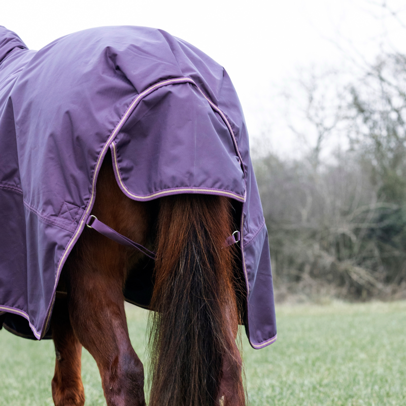 Shires Typhoon 100 Combo Turnout Rug - Black Cherry-3