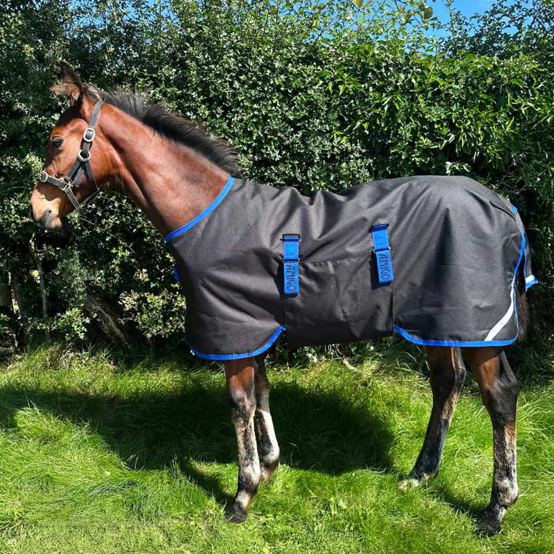 Horseware Amigo Ripstop 900D 50g Foal Turnout Rug - Black/Classic Blue