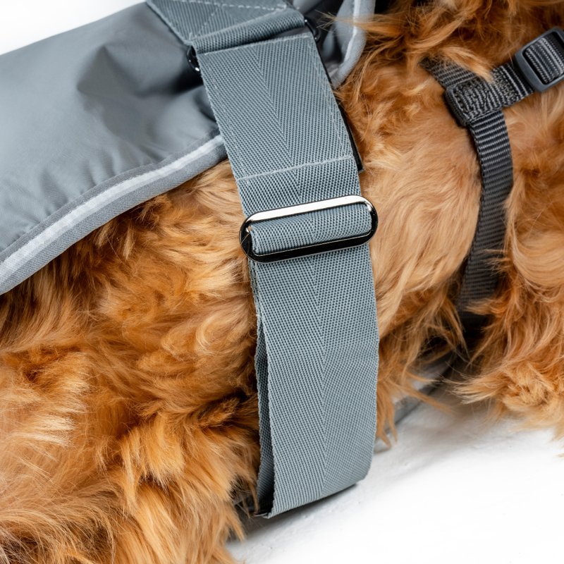 Horseware Newmarket Dog Coat - Witney Charcoal-2