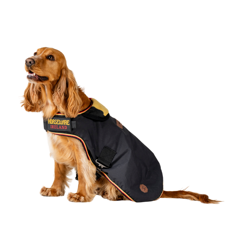 Horseware Newmarket Dog Coat - Witney Gold