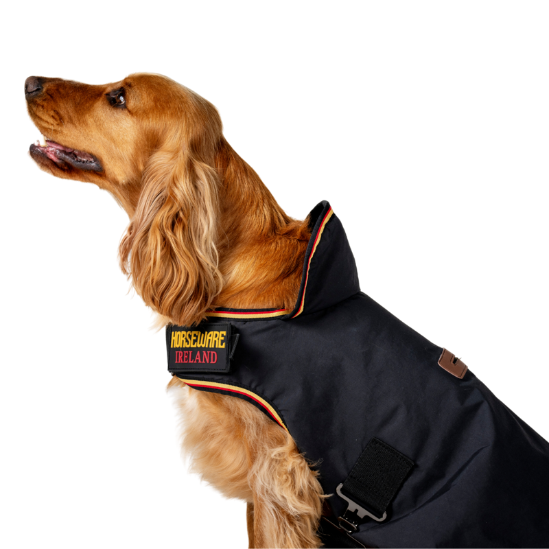Horseware Newmarket Dog Coat - Witney Gold-2