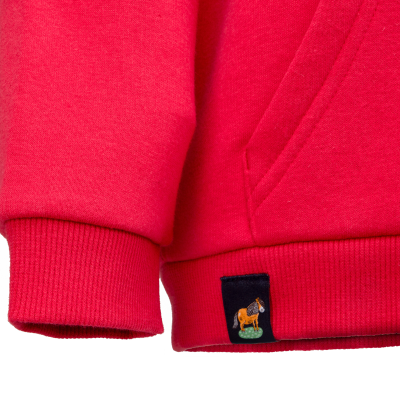 Shires Children's Winnie and Me Hoodie - Red-11