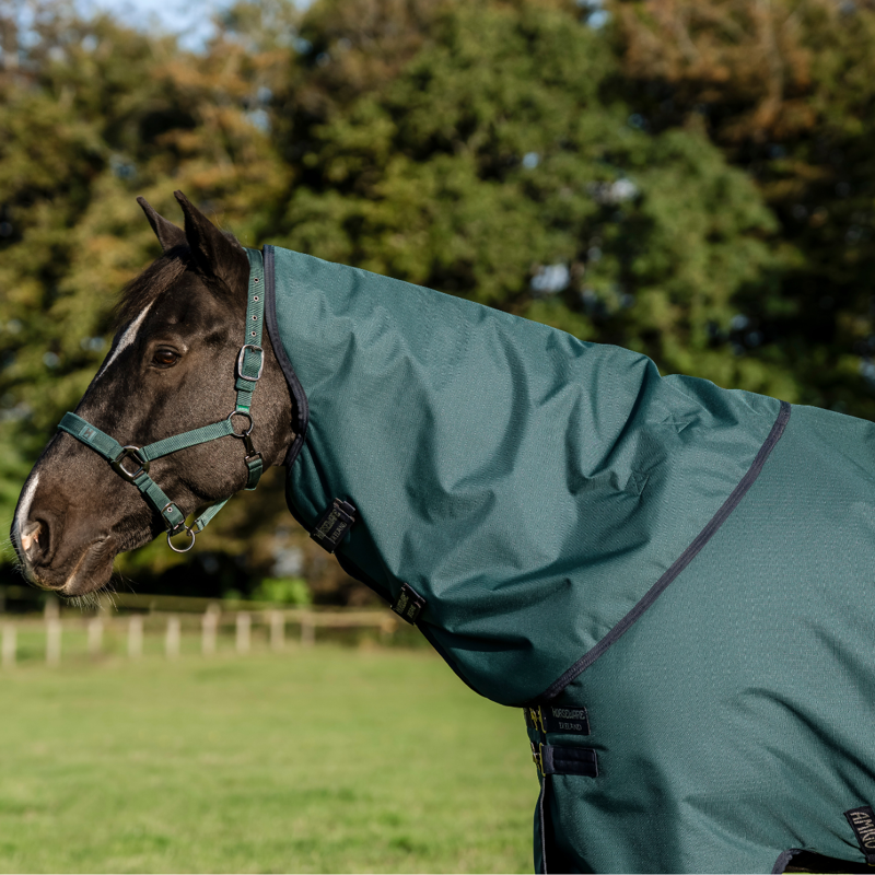 Horseware Amigo Ripstop 900D Plus 100g Turnout Rug - Dynasty Green/Navy Silver-3