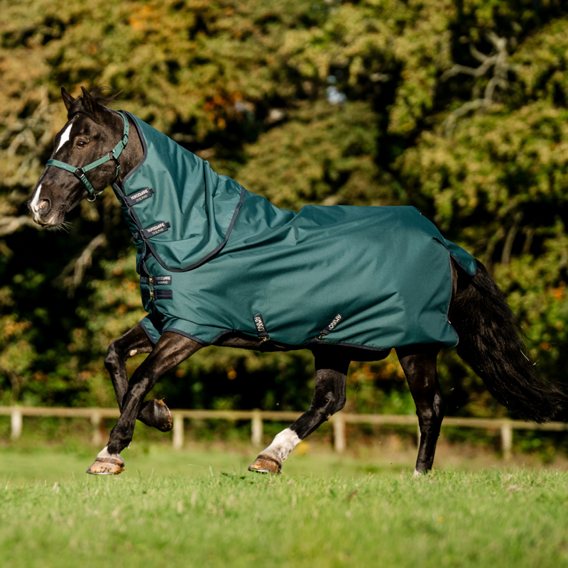 Horseware Amigo Ripstop 900D Plus 100g Turnout Rug - Dynasty Green/Navy Silver
