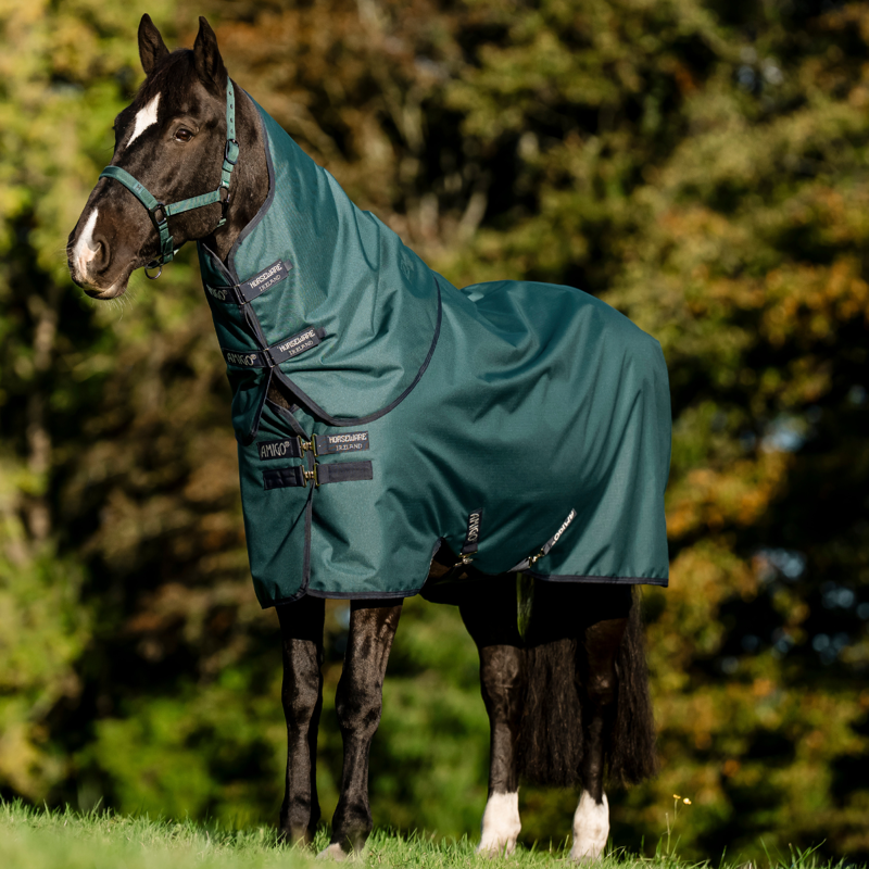 Horseware Amigo Ripstop 900D Plus 100g Turnout Rug - Dynasty Green/Navy Silver-1