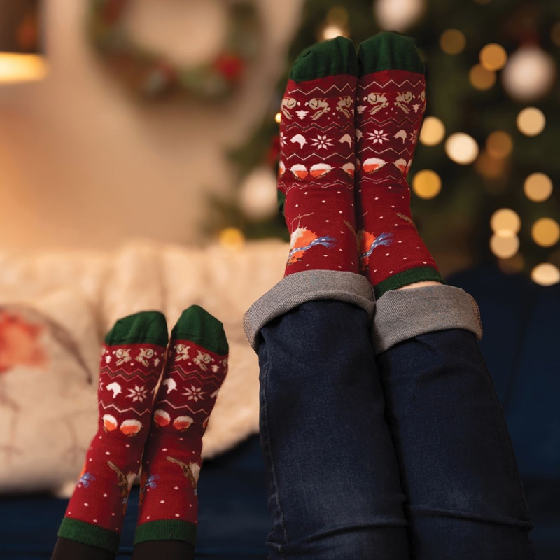 Wrendale Designs 'Season's Tweetings' Robin Children's Christmas Socks-1