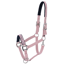 Schockemohle Memphis Style II Headcollar - Dusty Pink