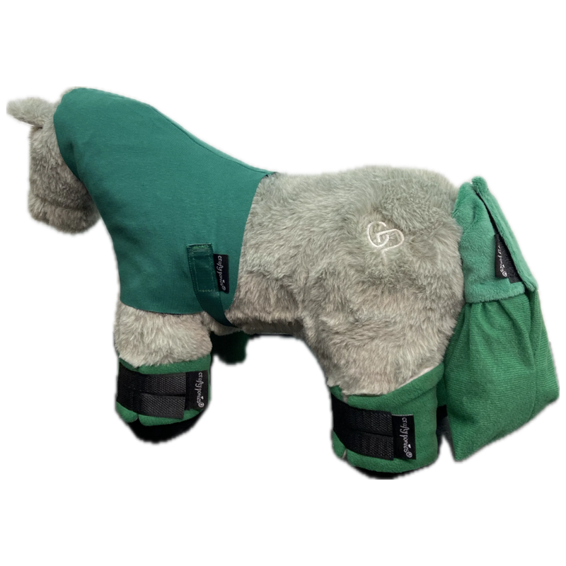 Crafty Ponies Travel Rug Set - Green