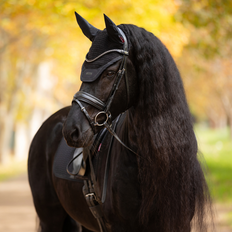 LeMieux Essence Fly Hood - Black-1